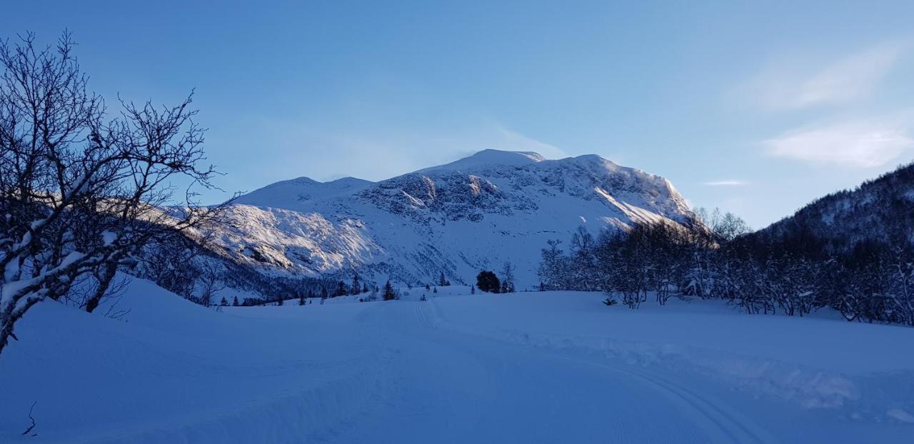 Dalhus - House In The Valley Norddal Esterno foto